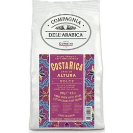 Caffe Corsini 250 gr Kosta Rika Altura Arabica Çekirdek Kahve