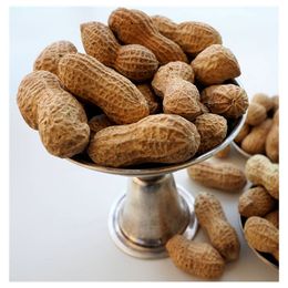 Çakır Çerez 5 kg Kavrulmuş Kabuklu Fıstık