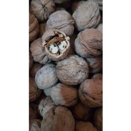 Canlar 1 kg Ceviz