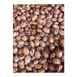 Canlar Bakkal 1 kg Organik Köy Barbunya
