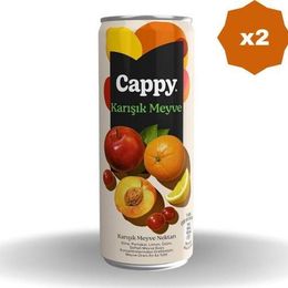 Cappy 330 ml Bahçe Karışık Meyve Nektarı