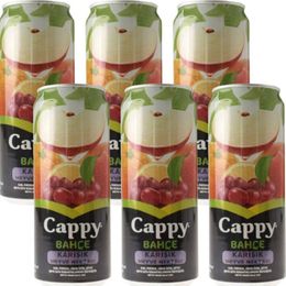 Cappy 330 ml Bahçe Karışık Meyve Nektarı