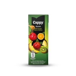 Cappy Atom Ballı Karışık 200 ml Meyve Suyu