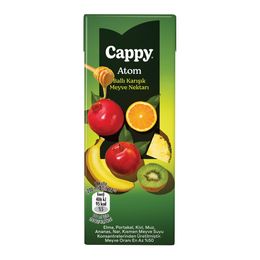 Cappy Atom Ballı Karışık 200 ml Meyve Suyu