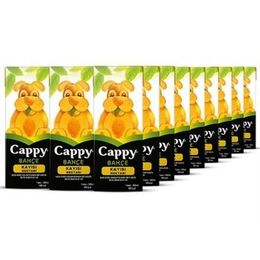 Cappy Kayısı 200 ml Nektarı Meyve Suyu
