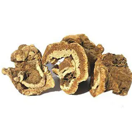Cemilefendi 1 kg Çakşır Kökü