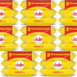 Dalin 56x24 Paket Islak Havlu Mendil