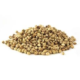 Daniska 250 gr Tane Kişniş