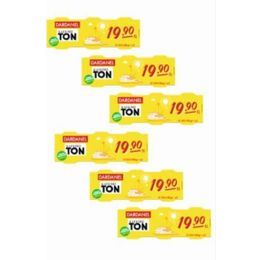 Dardanel 6 Adet 3x75 gr Tonla Ekonomik Ton Balığı