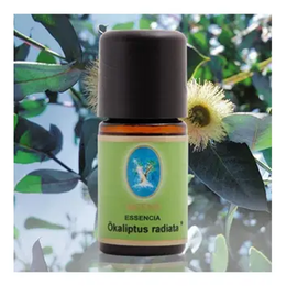 Defne 5 ml Okaliptus Radiata Uçucu Yağ