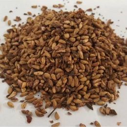 Derya Eren 1 kg Tane Nar Çekirdeği