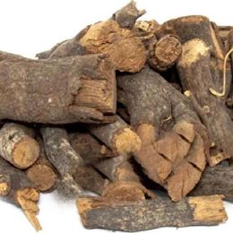 Derya Eren 100 gr Böğürtlen Kökü