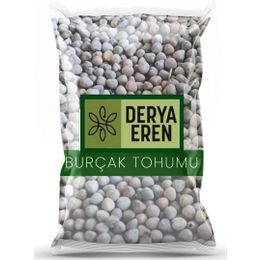 Derya Eren 100 gr Burçak Tohumu