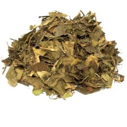 Derya Eren 100 gr Cinnema Gimneya Cimnema Otu