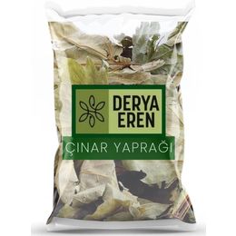 Derya Eren 100 gr Derin Yırtıklı Çınar Yaprağı