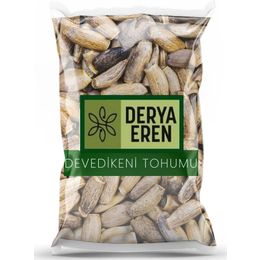 Derya Eren 100 gr Deve Dikeni Tohumu