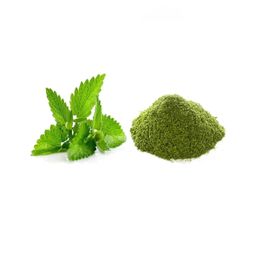 Derya Eren 100 gr Sofralık Yaprak Nane Bitkisi