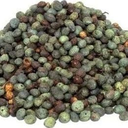 Derya Eren 250 gr Çitlenbik Çıtlık Çedene Bıttım Tane Menengiç