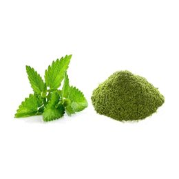 Derya Eren 250 gr Nane