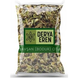 Derya Eren 250 gr Peryavşan Kısa Mahmut Otu Bodur Otu