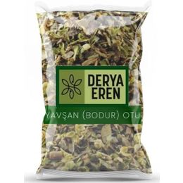 Derya Eren 250 gr Peryavşan Kısa Mahmut Otu Bodur Otu