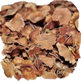 Derya Eren 50 gr Deve Tabanı