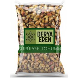 Derya Eren 500 gr Süpürge Tohumu