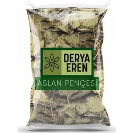 Derya Eren 500 gr Testere Dişli Aslan Pençesi