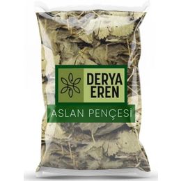 Derya Eren 500 gr Testere Dişli Aslan Pençesi