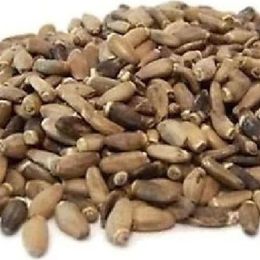 Derya Eren 80 gr Deve Dikeni