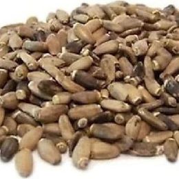 Derya Eren 80 gr Deve Dikeni