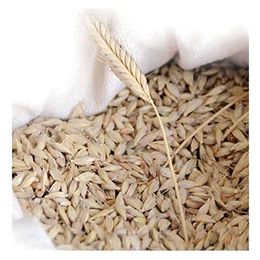 Devrekani Deva 10 kg Tohumluk Kabuklu Siyez Buğdayı