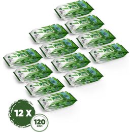 Dex 12x120'li Aloe Vera Islak Havlu