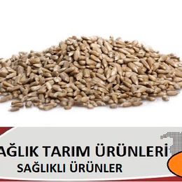 Dilek Kuruyemiş 1 kg Ayçekirdeği İçi