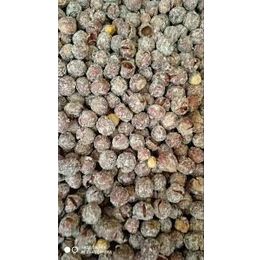Dilek Kuruyemiş 5 kg Kabuklu Tuzlu Fındık