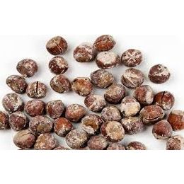 Dilek Kuruyemiş 500 gr Kabuklu Tuzlu Fındık