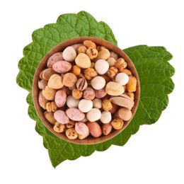 Dilek Kuruyemiş 500 gr Karışık Çerez Duble