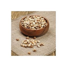Dilek Kuruyemiş 500 gr Mısır Kavurgası