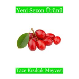 Doğal Köylü 1 kg Taze Kızılcık Meyvesi