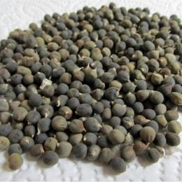 Doğal Yaşam Ürünleri 100 gr Bamya Tohumu