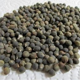 Doğal Yaşam Ürünleri 100 gr Bamya Tohumu