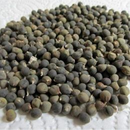 Doğal Yaşam Ürünleri 100 gr Bamya Tohumu