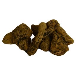 Doğan 1 kg Doğal Ravent Kökü