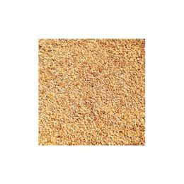 Dökme Baharat 100 gr Kavrulmuş Susam