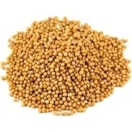 Dökme Baharat 250 gr Sarı Hardal Tohumu