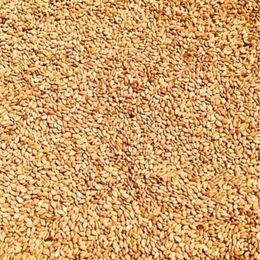 Dökme Baharat 500 gr Kavrulmuş Susam