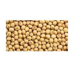 Dökme Bakliyat 1 kg Soya Fasulyesi
