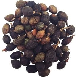 Dökme Tohumlar 100 gr Defne Tohumu