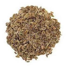 Dökme Tohumlar 100 gr Dereotu Tohumu