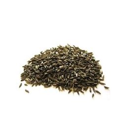 Dökme Tohumlar 100 gr Kıvırcık Marul Tohumu
